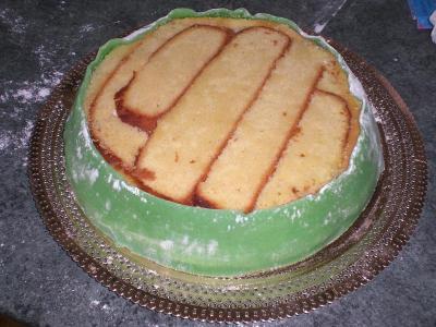 Prepaparazione passo 16
