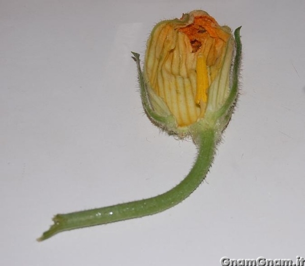 Prepaparazione passo 2