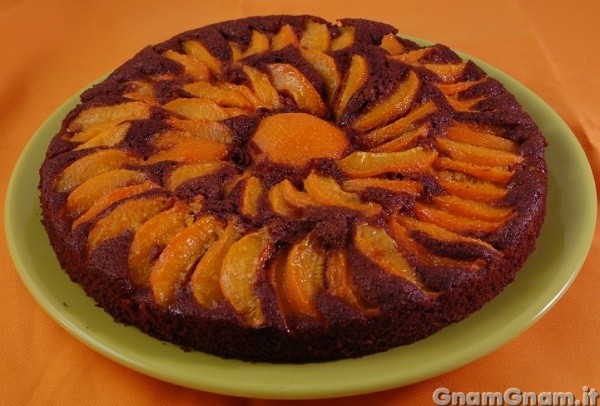 Torta al cacao e albicocche