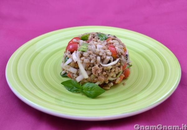 Insalata di farro e orzo