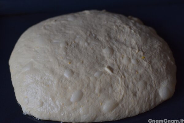 Prepaparazione passo 17