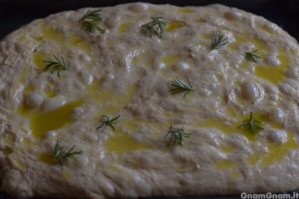 Prepaparazione passo 20